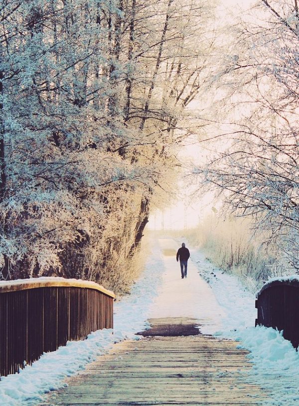 man, bridge, lonely, to stroll, walk, winter landscape, winter, landscape, snow, snowy, wintry, winter magic, evening sky, cold, frozen, frost, winter's day, white, germany, icy, covered in snow, snowed in, nature, trees, winter dream, fairytale, winter mood, snow magic, snow landscape, quiet, alone, abandoned, lighting mood, winter forest, romantic, mood, dusk, bright, sunlight, winter, winter, winter, winter, winter, snow, snow, alone